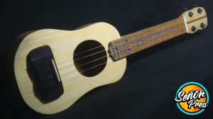 "Helado" Concert Ukulele - Maple, Oak & Rosewood Build